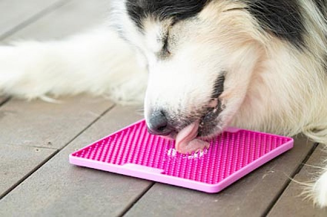LickiMat® Classic Soother™ -